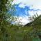 Snowbird Chalet #5