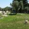 Saint George Resort