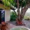 LagunaVista Villas