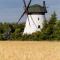 Windmill vacation home in Ledzin near Baltic Sea - Niechorze