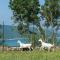 Chambre d'hotes - Ferme de Chanteraine photo 11