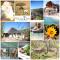 White Lion Lodge on Sanbona