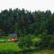 Domek Skowronek z basenem