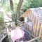 Treehouse B&B