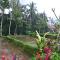 Buda Cottage Ubud - 乌布