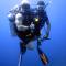 Shamar Guesthouse & Dive