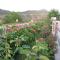 Guesthouse Moucha