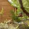 Bussells Bushland Cottages