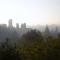 Saint Sauveur photo 8