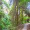 Avatel Eco Lodge - 克里皮吉