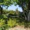 Le Domaine de Saint-Thomin photo 17