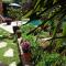 Le Clos d'Isabelle photo 17