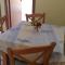 Apartment Krizanovic