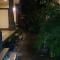 Nyuh Gading Accommodation Ubud