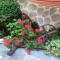 Guest House Planinski Zdravets