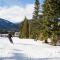 Foto: The Benchlands by Blackcomb Peaks Accommodation 85/224