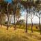 Shadow Creek McLaren Vale
