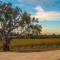 Foto: Shadow Creek McLaren Vale 23/24