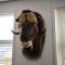 Hotel Sisimiut & Tours