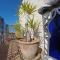 Riad Les Chtis DAgadir
