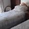 Hills Farm B&B Laugharne