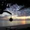 Aroa Beachside Resort