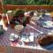 L'arberc photo 11