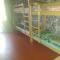 YourHostel Khar'kovskii - 基辅