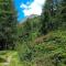 Balcone sulle Dolomiti