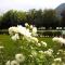 IRIS 2 lago di Como - 东戈