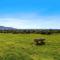 Foto: Aww Sheep-Uninterrupted Magnificent View 6/34