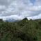 Vagamon Clouds - Vagamon