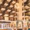Royal Central Hotel and Resort The Palm - Dubaj