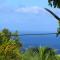 Or bleu-Bungalow volcan Soufriere-Vue sur mer - Saint-Claude