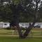 MacNeils Motel