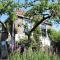 Apple Tree Cottage - charming home at beautiful canal in our idyllic garden