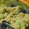 Hotel Agave e Ginestra