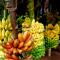 Bentota Home Stay