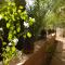 Villa Zagora Ma Villa au Sahara