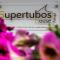 Foto: Portugal Supertubes House 7/34