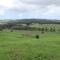 Back Valley Farmstay Bed and Breakfast