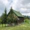 Kuca u borju - House in pines