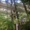 Bandipur Mountain Resort