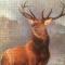 Dunvegan Bed & Breakfast