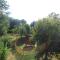 Gîte "La Belle Angevine" photo 17