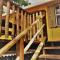 The Funky Dodo Backpackers Hostel