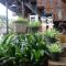 Baanfai Guesthouse Chiangkhong