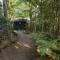 Springbrook Lyrebird Retreat