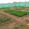 Foto: green farm المزرعة الخضراء 11/31