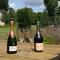Parc de Launay photo 23
